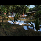 Ein Partyservice trocknet die Wäsche